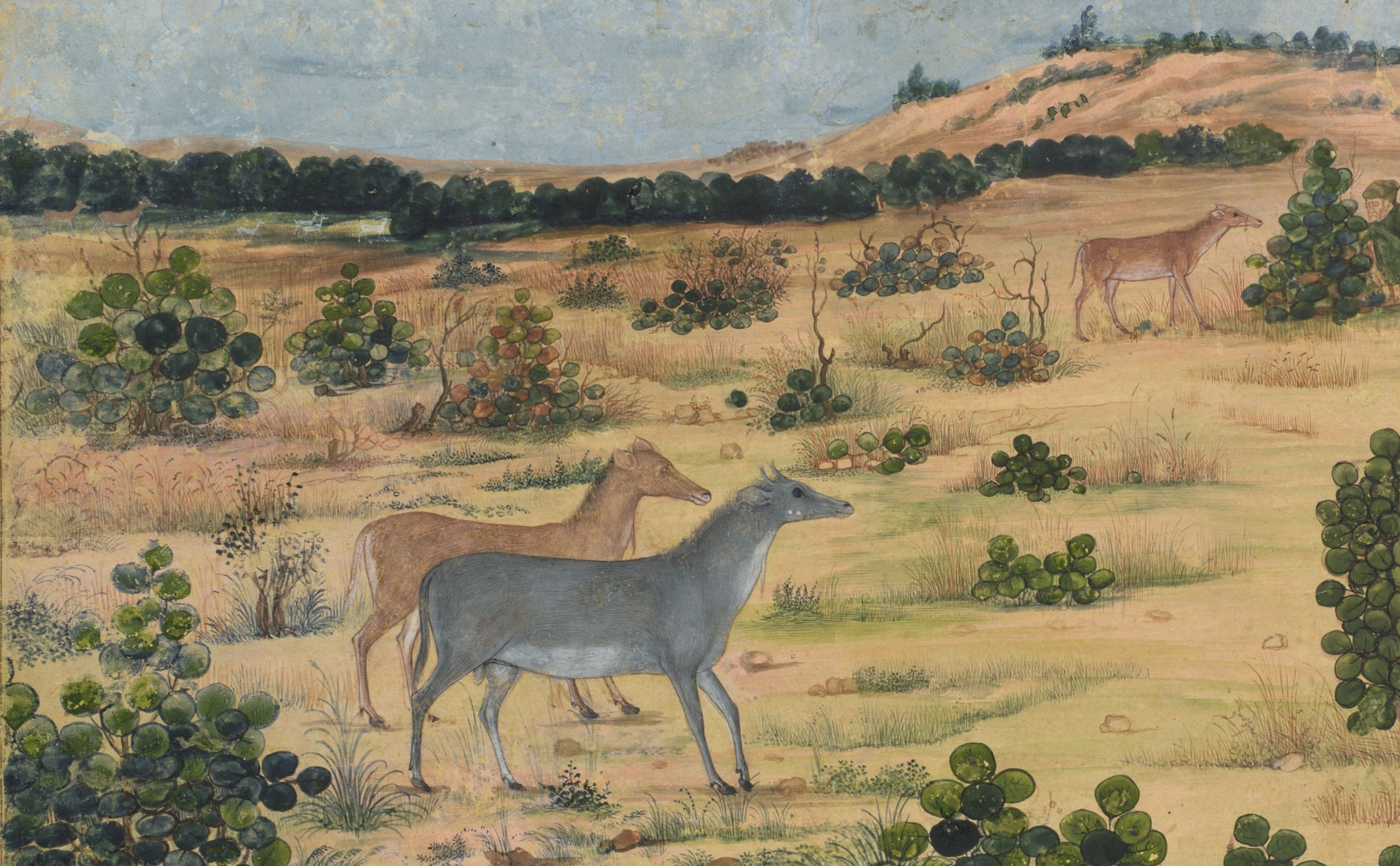 A detail from a landscape painting that shows several deer in the desert. The desert contains short tuffs of grass, leafless branches, and low lying circular bushes. 